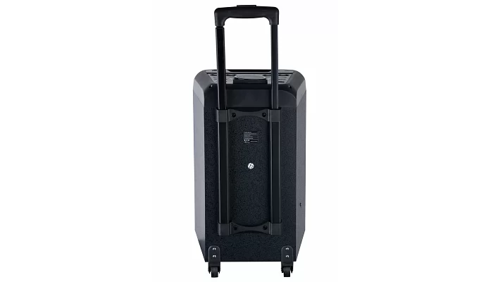 Автономна акустична система TMG NDR-2010 (1MIC+MP3+USB+FM+BT), фото № 3