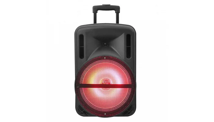 Автономна акустична система TMG MD19-12L (1MIC+BT+USB+SD+FM), фото № 5