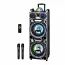 Автономна акустична система TMG HS-TS1246 (2MIC+MP3+USB+FM+BT)