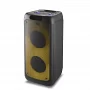 Автономная акустическая система TMG RX-8280 (BT+1MIC+USB+SD+FM)