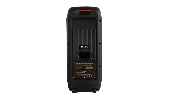 Автономная акустическая система TMG RX-8280 (BT+1MIC+USB+SD+FM), фото № 5