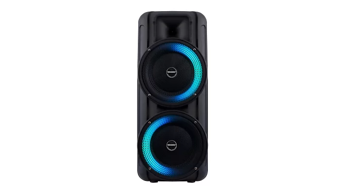 Автономна акустична система TMG RX-8251 (1MIC+MP3+USB+FM+BT), фото № 4