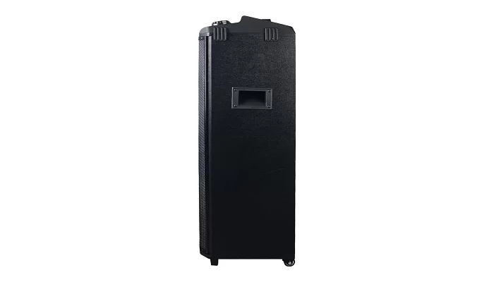 Автономна акустична система TMG HS-TD1070 (2MIC+MP3+USB+FM+BT), фото № 3