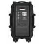 Автономна акустична система TMG GZ-612 (1MIC+MP3+USB+FM+BT)