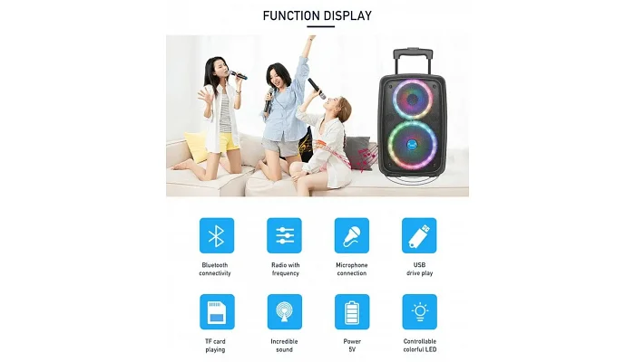 Автономна акустична система TMG NDR-2680 (1MIC+MP3+USB+FM+BT), фото № 6