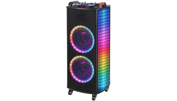 Автономна акустична система TMG GZ-1010 (2MIC+MP3+USB+FM+BT), фото № 3