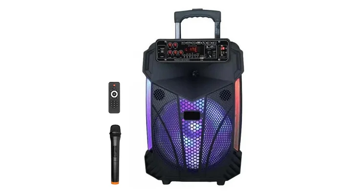 Автономна акустична система TMG CH1201 (BT+1MIC+USB+SD+FM), фото № 1