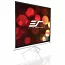 Екран для проектора на тринозі EliteScreen T119NWS1 119" 1:1