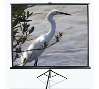 Екран для проектора на тринозі EliteScreen T120UWV1 120