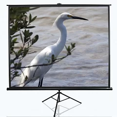 Екран для проектора на тринозі EliteScreen T120UWV1 120" 4:3 Case Black