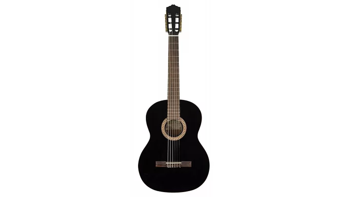 Классическая гитара Salvador Cortez CC-22-BK, фото № 1
