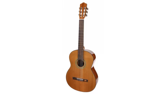 Классическая гитара Salvador Cortez CC-10L, фото № 2