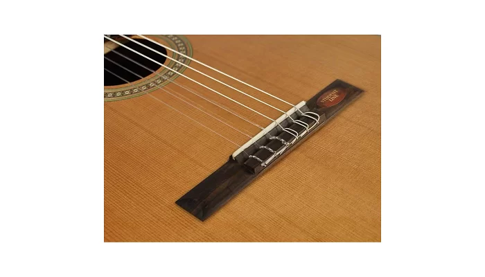 Классическая гитара Salvador Cortez CC-10L, фото № 5