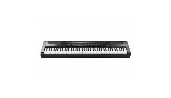 Цифровое пианино Artesia PA88H(Black) + педаль сустейна + стойка, фото № 1