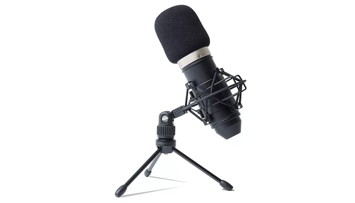 Студийный микрофон Marantz PRO MPM-1000, фото № 3