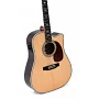 Гітара електроакустична Sigma Standart Series DTC-41E (Fishman Presys+)