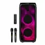 Автономна акустична система TMG NS-210 (BT+2MIC+USB+SD+FM)