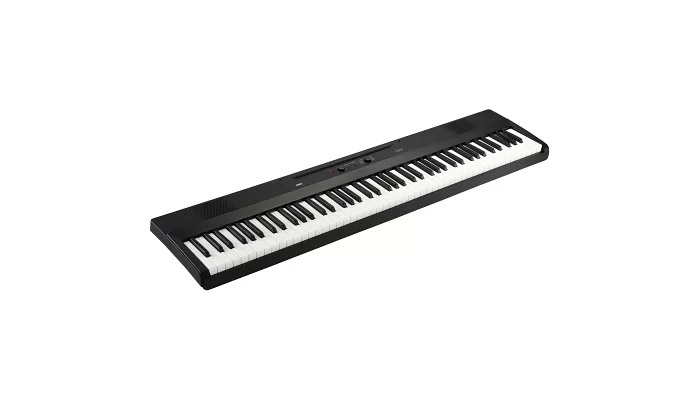 Цифровое пианино KORG L1 BLACK, фото № 3