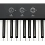 Цифровое пианино Fatar-Studiologic SL88 Grand