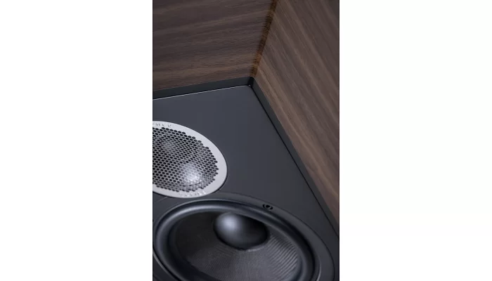 Полочная пассивная акустическая система ELAC DEBUT REFERENCE DBR62 Wood Black, фото № 4