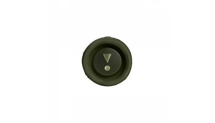 Бездротова портативна акустична система JBL FLIP 6 Green, фото № 7