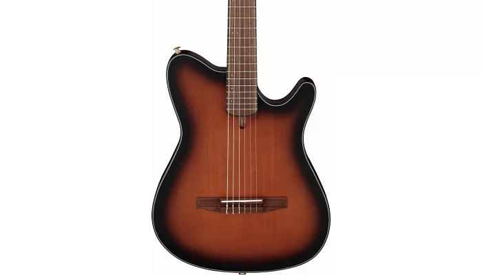 Классическая гитара с вырезом и электроникой IBANEZ FRH10N-BSF, фото № 3