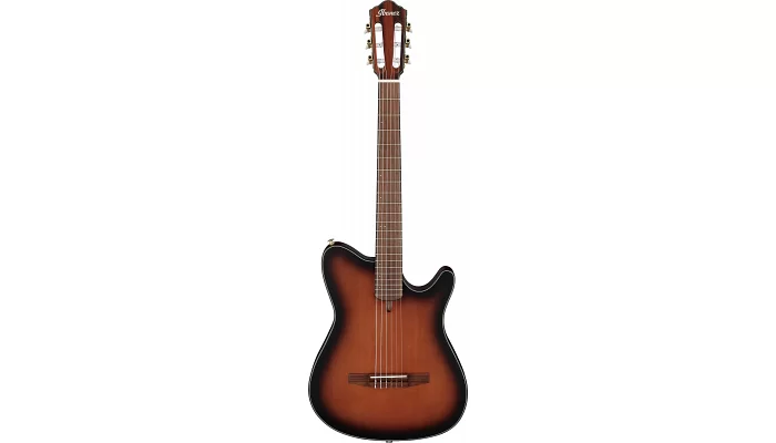 Класична гітара з вирізом та електронікою IBANEZ FRH10N-BSF, фото № 1
