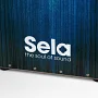 Кахон Sela Varios Bundle Blue SE 130 EN