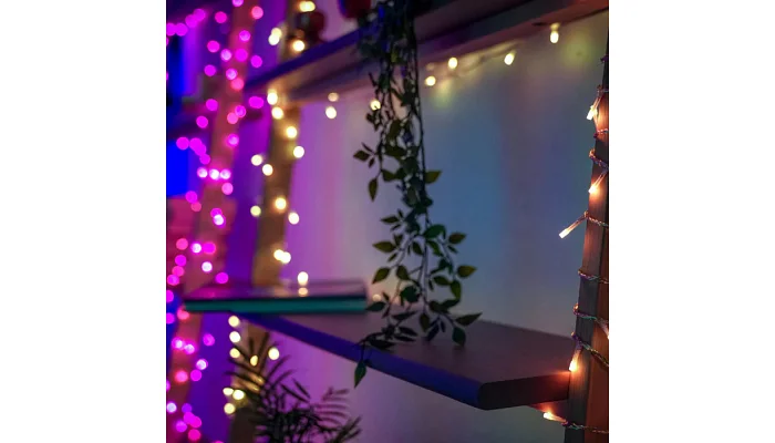 LED гірлянда Twinkly Pro Smart Strings AWW 250 TW-PLC-S-CA-1X250GOP-GR, фото № 2
