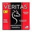 Струни для електрогітари DR STRINGS VERITAS COATED CORE ELECTRIC GUITAR STRINGS - LIGHT TO MEDIUM (9-46)