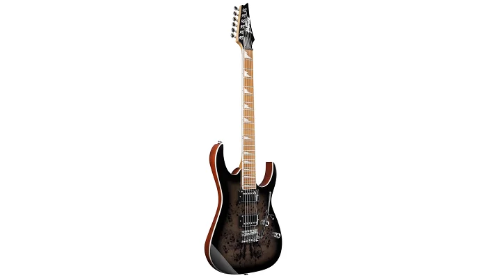 Електрогітара IBANEZ GRG220PA1, фото № 2