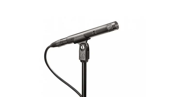 Инструментальный микрофон AUDIO-TECHNICA AT4021, фото № 1