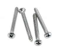 Набір гвинтів для кріплення грифа FENDER NECK MOUNTING SCREWS