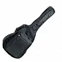 Чохол для акустичної гітари PROEL BAG110PN