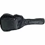 Чехол для акустической гитары PROEL BAG110PN