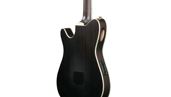 Электроакустическая гитара IBANEZ TOD10N-BKF, фото № 5