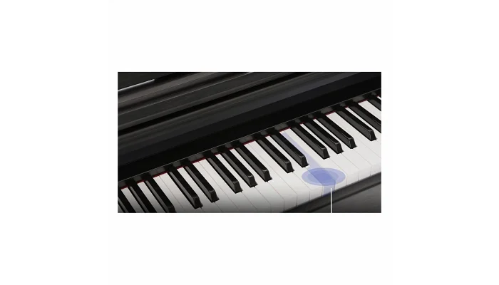 Цифровое пианино The ONE PLAY (Black), фото № 4