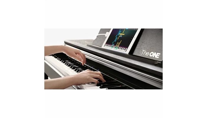 Цифровое пианино The ONE PLAY (Black), фото № 6