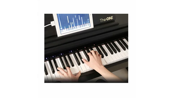Цифровое пианино The ONE PLAY (Black), фото № 7