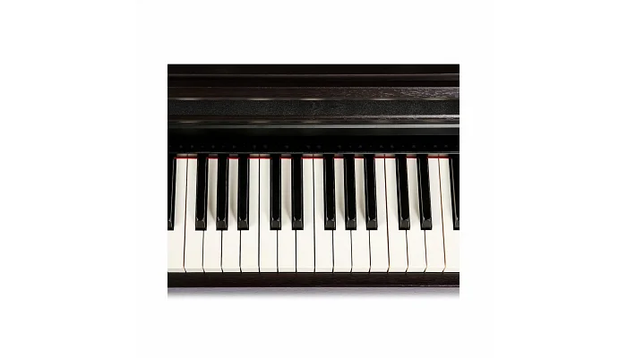 Цифровое пианино The ONE TOP2 (Rosewood), фото № 9