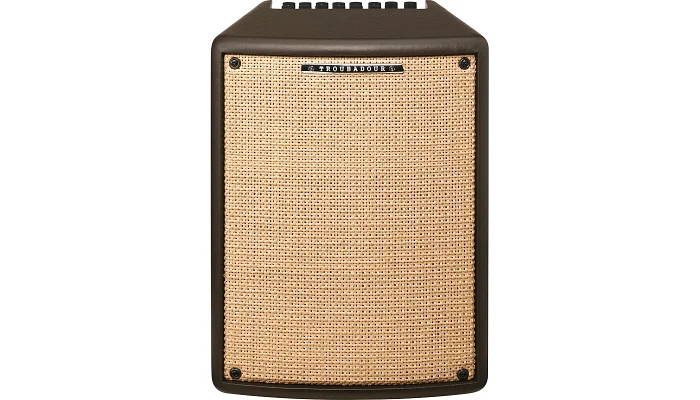 Гітарний комбопідсилювач IBANEZ T80II, фото № 1