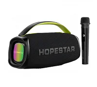 Автономная акустическая система HOPESTAR A40