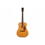 Електроакустична гітара FENDER PD-220E DREADNOUGHT WITH CASE NATURAL