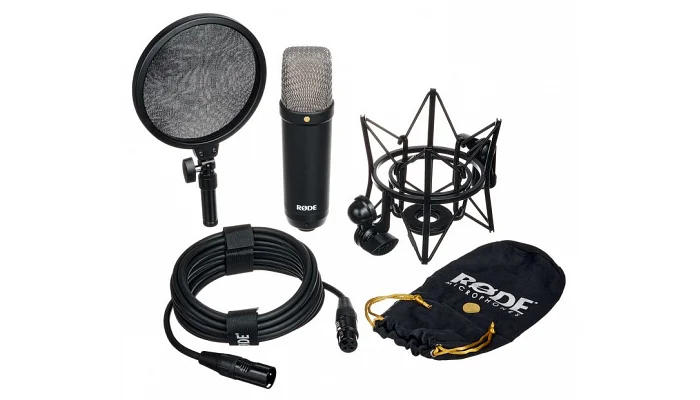 Студийный микрофон RODE NT1 SIGNATURE BLACK, фото № 11
