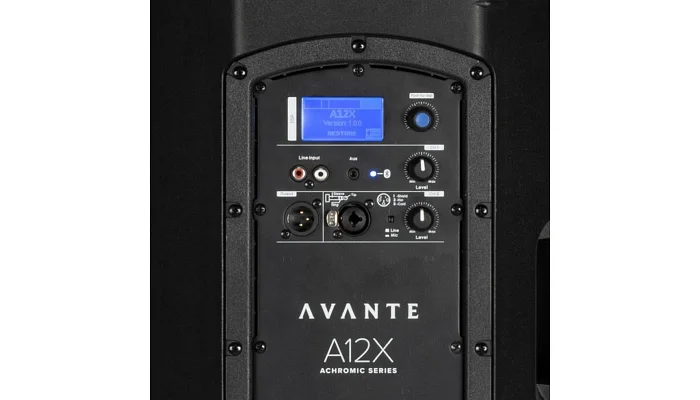 Активная акустическая система AVANTE A12X, фото № 5