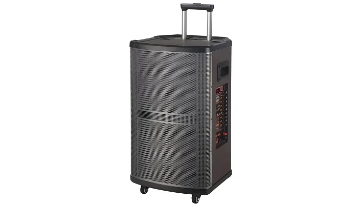 Автономна акустична система TMG NDR-512 (2MIC+USB+MP3+FM+BT), фото № 3