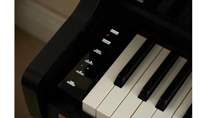 Цифровое фортепиано CASIO AP-750BK, фото № 6