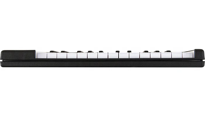 MIDI-клавиатура Arturia MicroLab (black), фото № 4