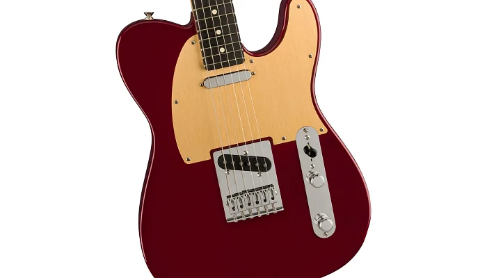 Електрогітара FENDER PLAYER TELECASTER LIMITED EDITION OX BLOOD, фото № 3