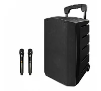 Автономна акустична система Emiter-s NGS AT12D5 (2MIC+USB+SD+BT)